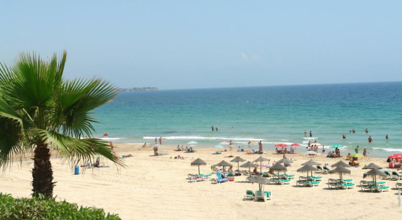 Las mejores ofertas de Riviera Beach Pilar De La Horadada