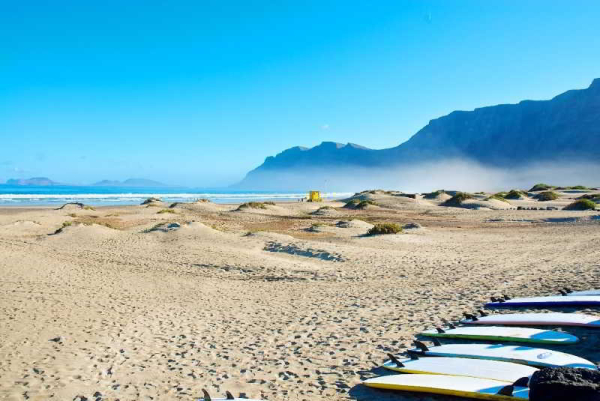 Las mejores ofertas de Camel Spring Costa Teguise