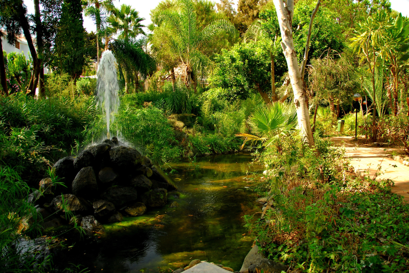Las mejores ofertas de Rancho Miraflores Mijas