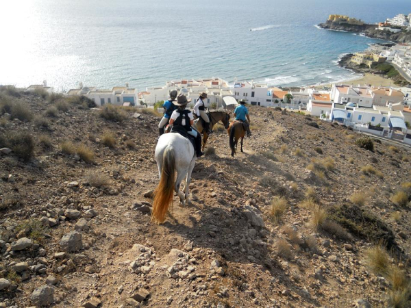 Las mejores ofertas de El Dorado CABO DE GATA
