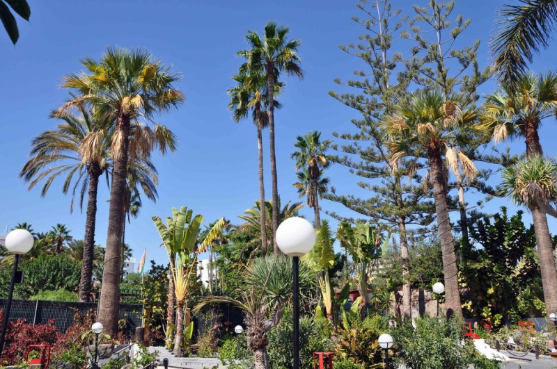 Las mejores ofertas de San Valentin & Terraforpark Playa del Inglés