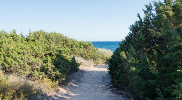 Las mejores ofertas de HOSTAL ES PI 2 Playa Mitjorn