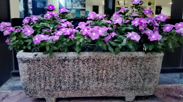 Las mejores ofertas de Adia Cunit Playa Cunit