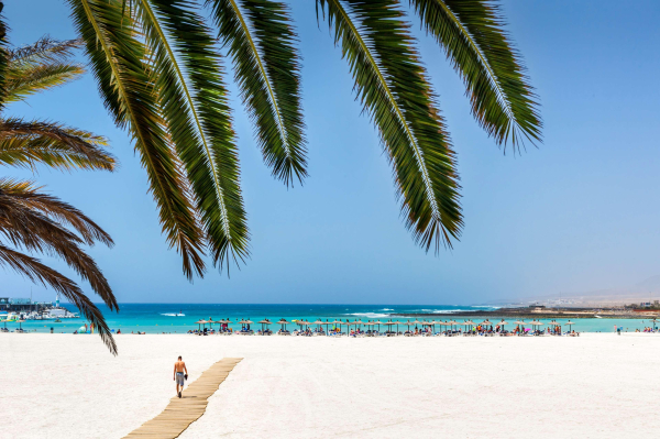 Las mejores ofertas de Barcelo Fuerteventura Castillo Caleta de Fuste