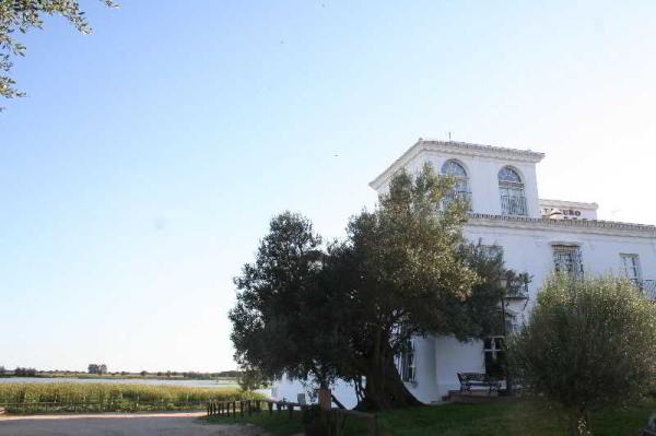 Las mejores ofertas de Toruño Hotel Restaurante El Rocio