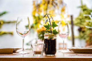 Las mejores ofertas de Doña Mayor Frómista 