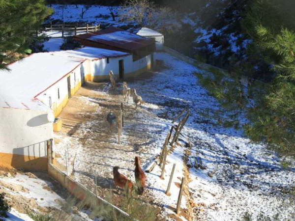 Las mejores ofertas de Vega Sierra Hotel Spa & Casas Rurales Bogarra 