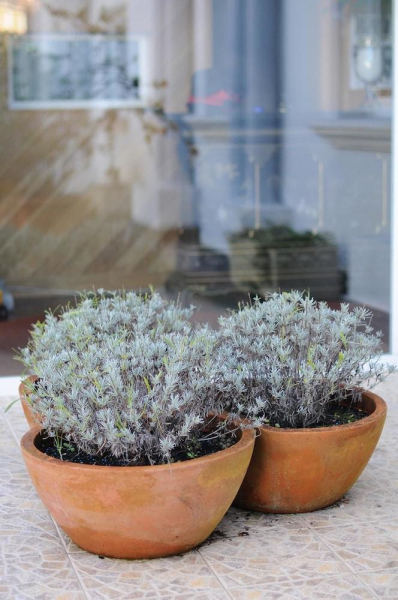 Las mejores ofertas de Apartamentos Noray San Vicente De La Barquera