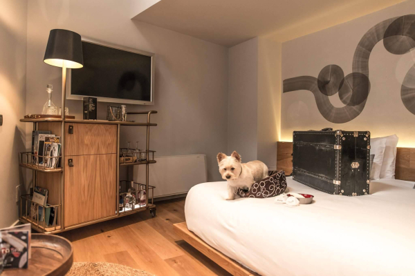 Las mejores ofertas de Puro Hotel Oasis Urbano Palma de Mallorca