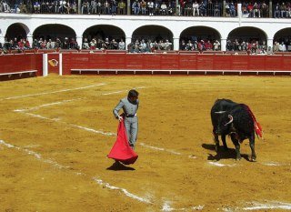 Las mejores ofertas de PLAZA DE TOROS DE ALMADEN Almadén 