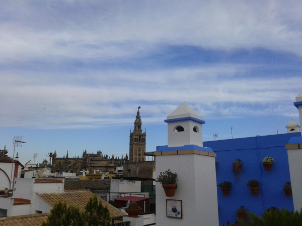 Las mejores ofertas de Murillo Sevilla