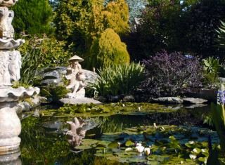 Las mejores ofertas de HOTEL BOSQUE MAR O Grove