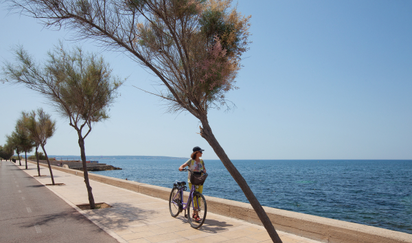 Las mejores ofertas de JS Palma Stay Can Pastilla