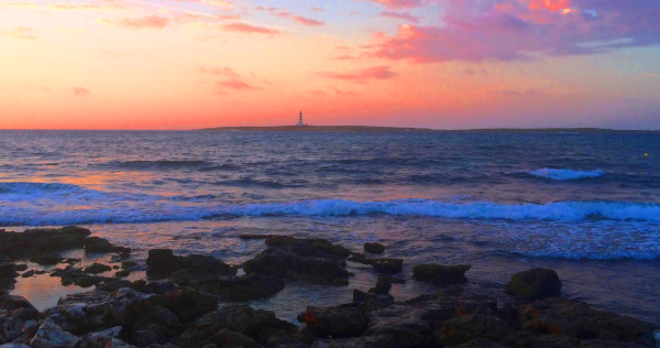 Las mejores ofertas de Bimbolla Apartaments PUNTA PRIMA 