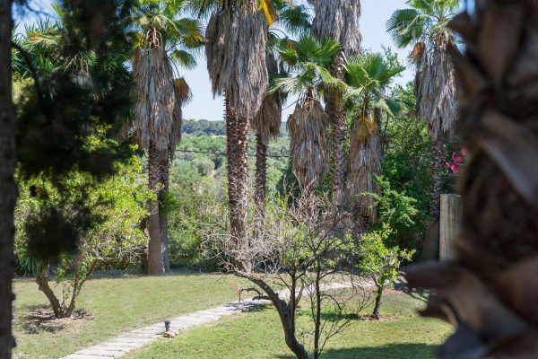 Las mejores ofertas de Rural Son Jorda Sencelles