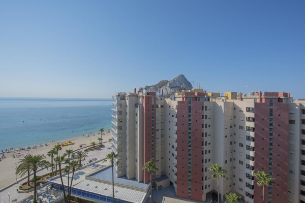 Las mejores ofertas de Aguamarina Dénia