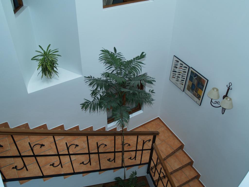 Las mejores ofertas de Morales Ronda