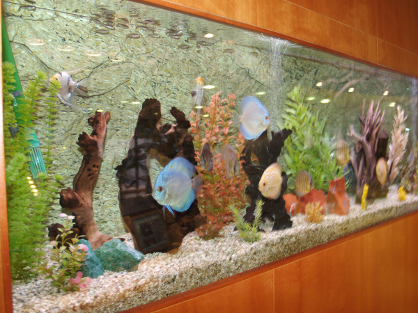 Las mejores ofertas de Montemar Maritim Santa Susanna