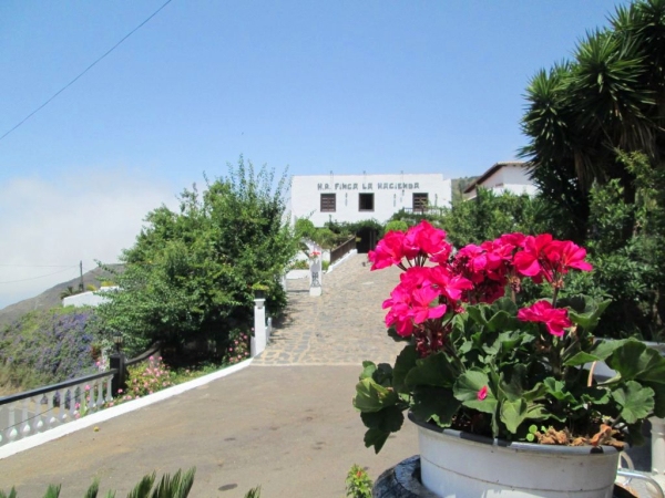 Las mejores ofertas de HOTEL RURAL FINCA LA HACIENDA Los Silos