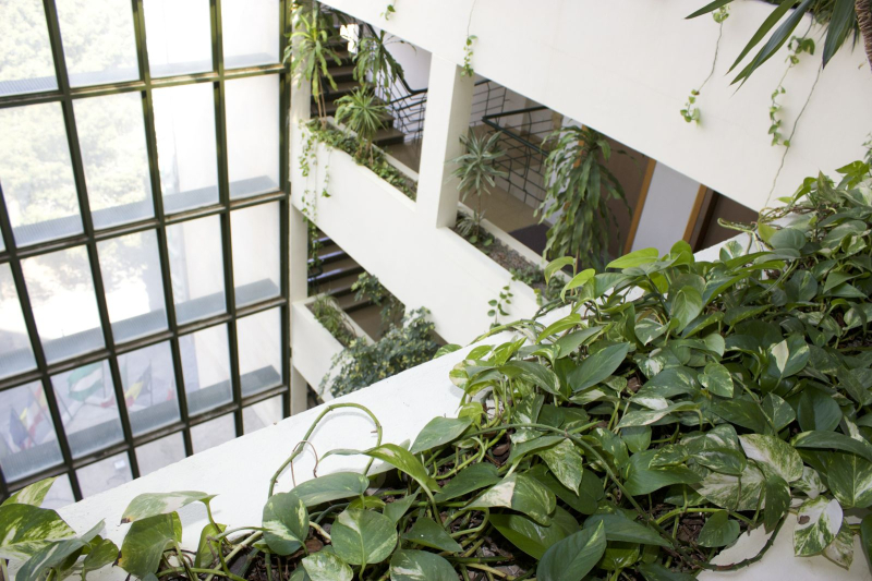 Las mejores ofertas de Ejidohotel El Ejido 