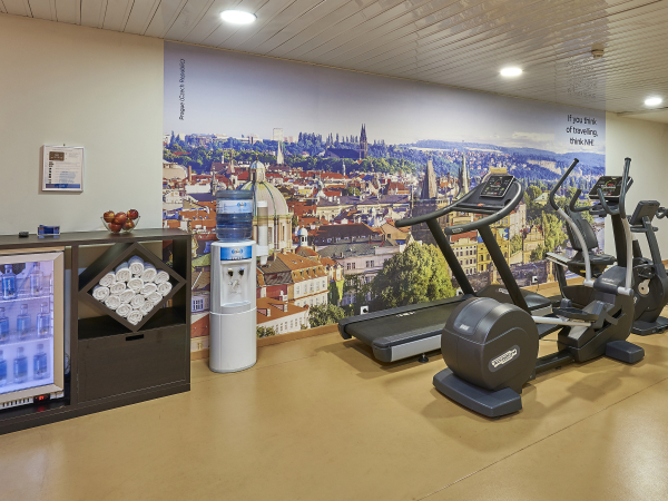 Las mejores ofertas de Sercotel Porta Barcelona Sant Just Desvern