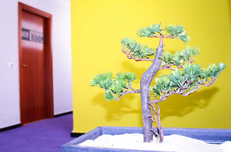 Las mejores ofertas de Princesa Solar Torremolinos