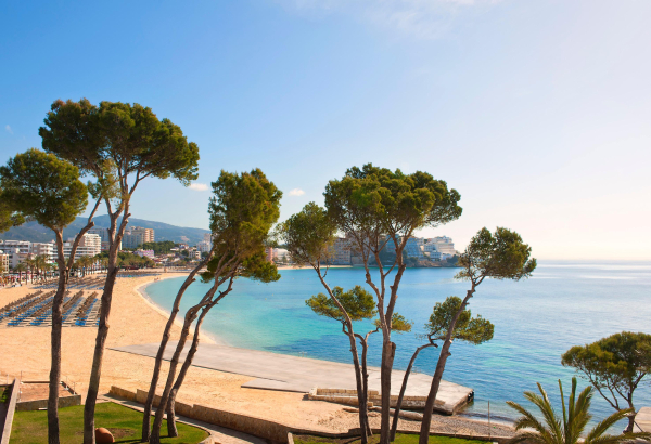 Las mejores ofertas de Sol House The Studio Calvia Beach Magalluf