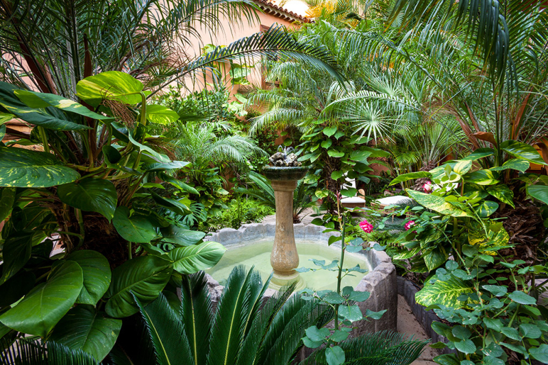 Hotel LIVVO La Quinta Roja