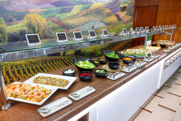 Las mejores ofertas de Alexandre Hotel Frontair Congress Sant Boi De Llobregat