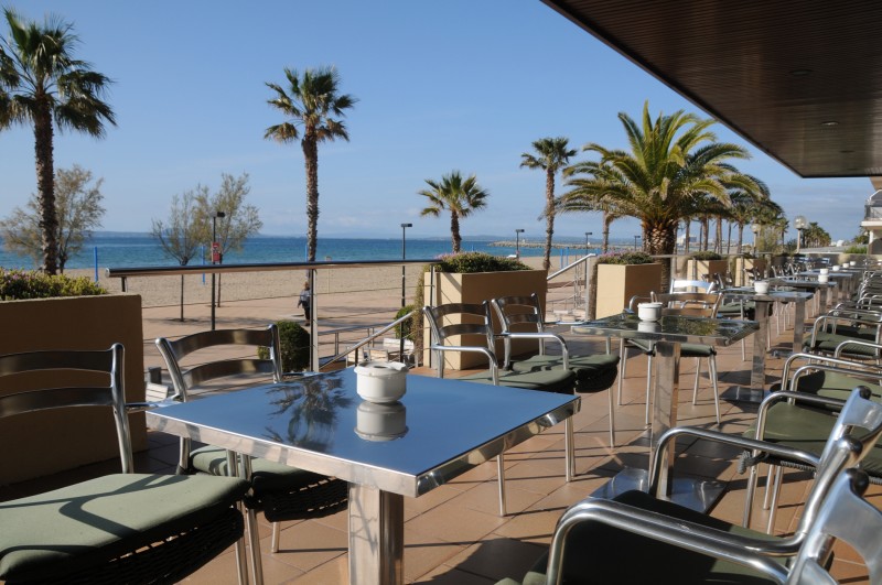 Las mejores ofertas de Monterrey Roses