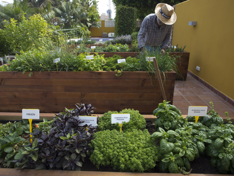 The Cook Book Gastro Boutique Hotel and Spa