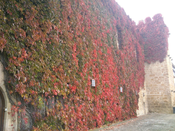 Las mejores ofertas de Parador De Olite Olite