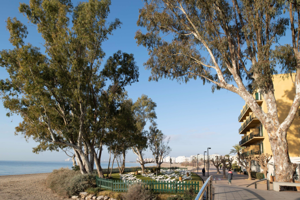 Las mejores ofertas de Hotel Roses Platja Roses
