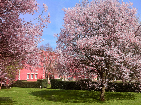 Las mejores ofertas de San Camilo Navarrete