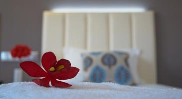 Las mejores ofertas de Azinheira Hotel Fátima 