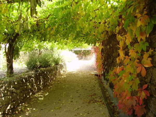 Las mejores ofertas de Casa de Santo António de Britiande Viseu