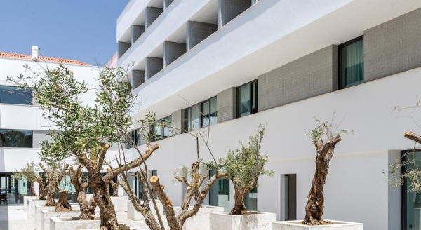 Las mejores ofertas de Évora Olive Hotel Évora 