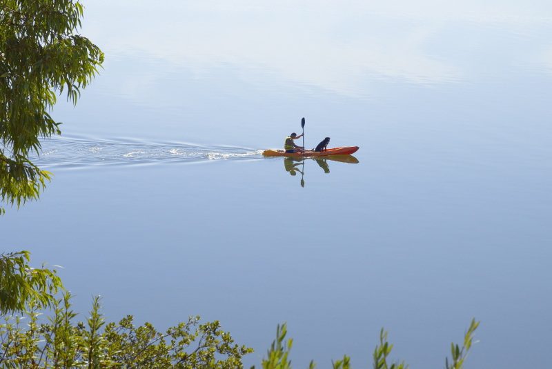 AP Lago Montargil Conference & Spa