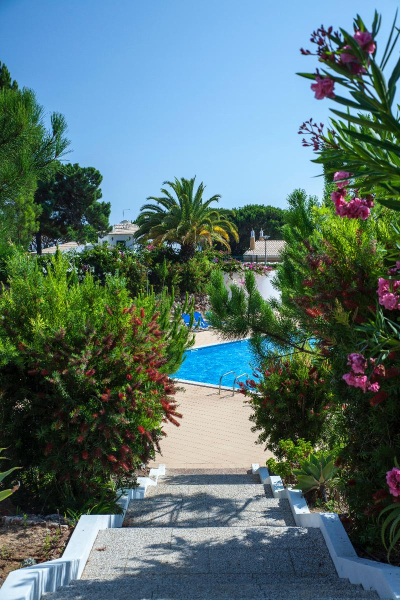 Las mejores ofertas de PINHAL DA MARINA Boliqueime