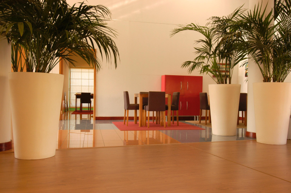 Las mejores ofertas de Orada - Marina Albufeira apartamentos Albufeira 