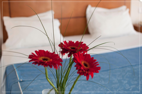 Las mejores ofertas de Nelas Parc Nelas 