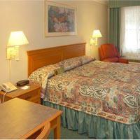 Las mejores ofertas de La Quinta Inn Corpus Christi North Corpus Christi 