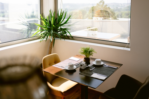 Las mejores ofertas de Conde d'Agueda Agueda