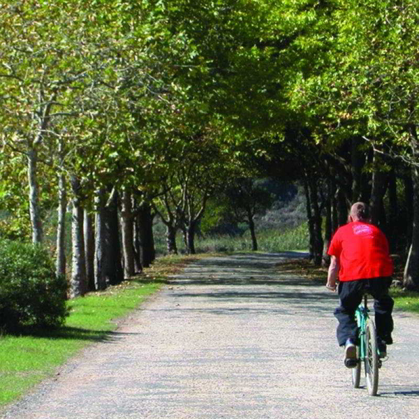 Las mejores ofertas de Ô Termas do Vimeiro Maceira