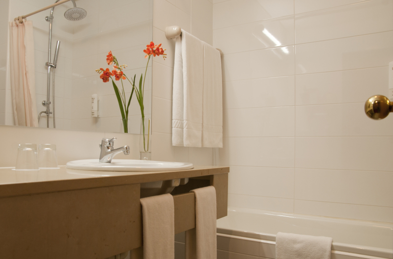 Rainha D. Amelia, Arts & Leisure