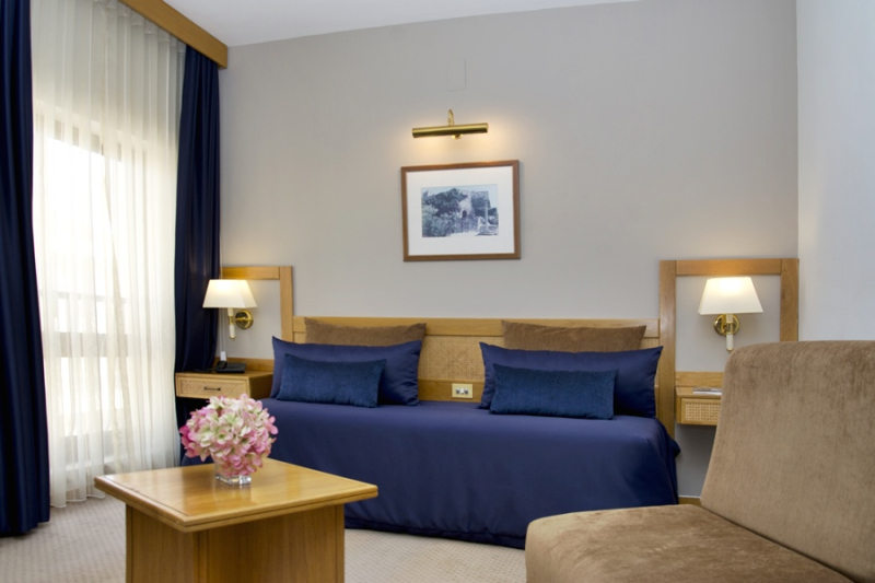 Rainha D. Amelia, Arts & Leisure