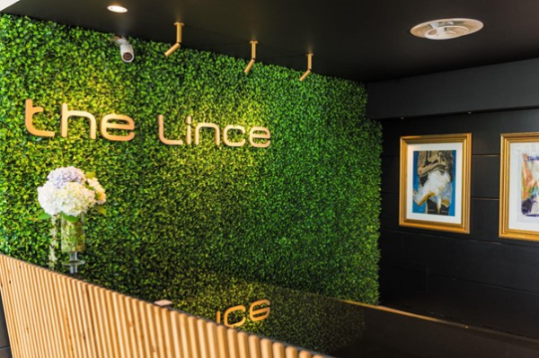 Las mejores ofertas de The Lince Azores Ponta Delgada 