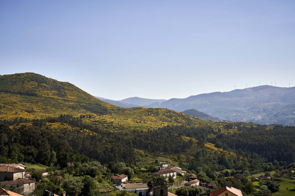 Las mejores ofertas de The Vinea Collection Hotel Monção 