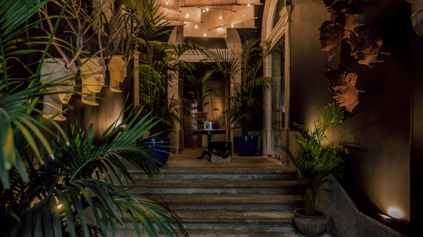 Las mejores ofertas de Torel 1884 Oporto