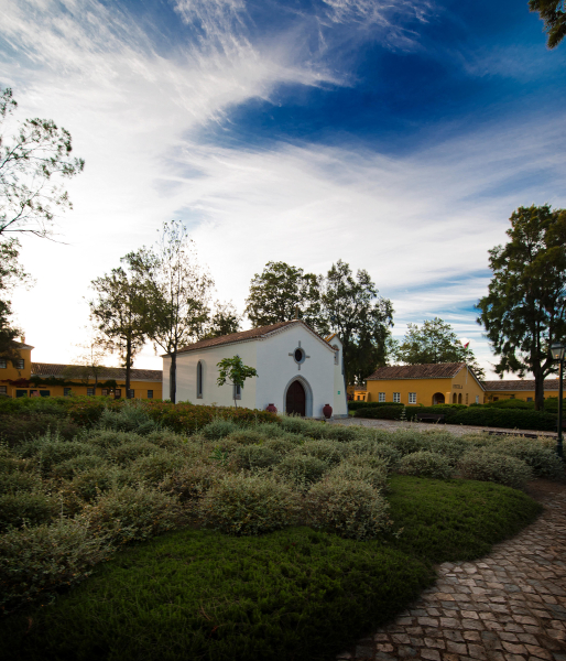 Las mejores ofertas de Vila Gale Albacora Monte Gordo